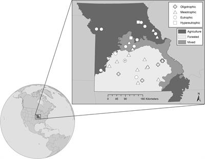 Filling in the Flyover Zone: High Phosphorus in Midwestern (USA) Reservoirs Results in High Phytoplankton Biomass but Not High Primary Productivity